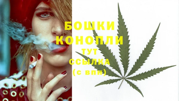 стафф Бородино