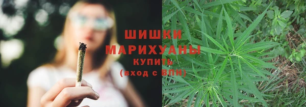 стафф Бородино