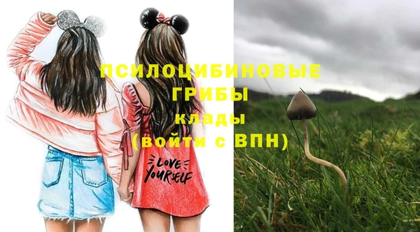 стафф Бородино