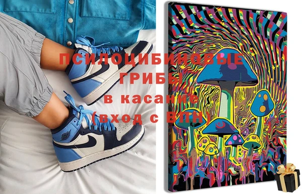 стафф Бородино